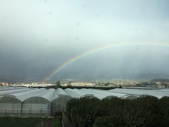 Regenboog