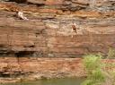 114 Karijini - Fortescue Falls