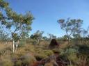 183 Karijini