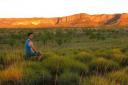 340 Purnululu National Park
