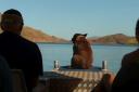 350 Lake Argyle