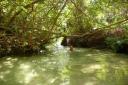 1149 Fraser Island - Eli Creek