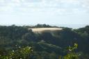 1161 Fraser Island - Lake Wabby Look-out