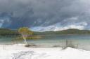 1186 Fraser Island - Lake Birrabeen