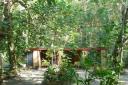 1512 Dolphin Bay Divers Retreat