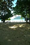 Rondleiding surin eiland