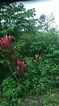 Natuur