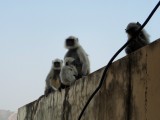 Amber fort
