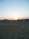 Kamelensafari