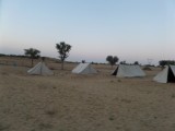 Kamelensafari