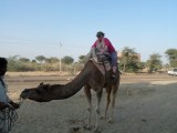 Kamelensafari