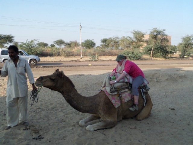 Kamelensafari