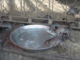 Karni Mata