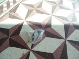 Karni Mata
