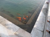 Golden Temple