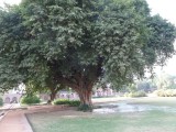 Humayun`s Tombe