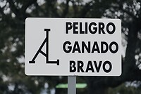 16056927-6AF5-4746-9563-C4F6EDF5F9D4