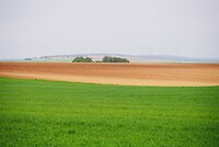 CA5B8D6A-EA88-4ADD-9D41-7CEB9033D531