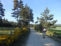 Mooie natuur