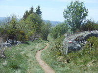 Bovenop het plateau van Aubrac