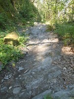 Bergop