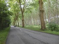 De D 16
