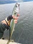 IMG_20190903_142714
