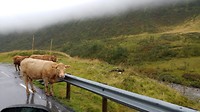 20190904_104153_HDR