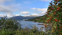 20190903_171930_HDR