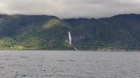 20190903_131651_HDR