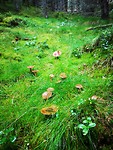 IMG_20190906_150740