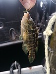 IMG_20190905_071433