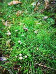 IMG_20190906_150803