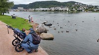 20190908_145508_HDR