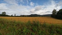 20190907_142151_HDR