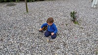 20190909_123348_HDR