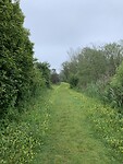 IMG_4995