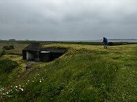 IMG_0561