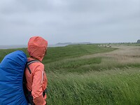 IMG_5001