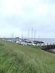 IMG_5004