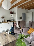 IMG_0585