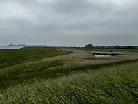 IMG_0564