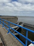 IMG_0625
