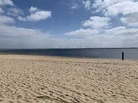 IMG_5056
