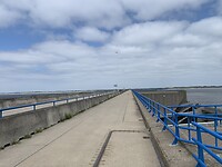 IMG_5052