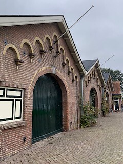 IMG_8586