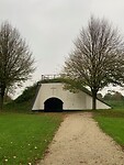 IMG_8582