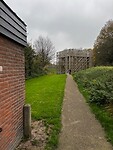 IMG_3370