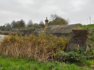 IMG_3363
