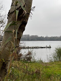 IMG_3359
